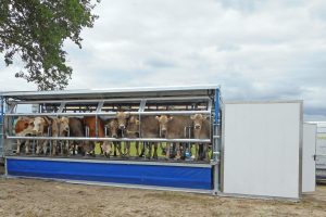 Stal Mobistar aangepast a