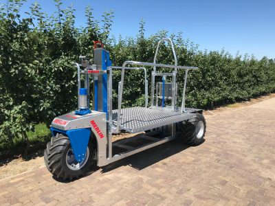 5-Merlin-(2)-Fruitteelt