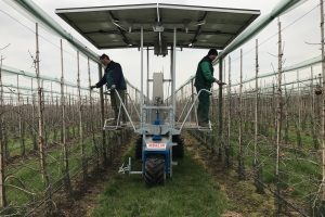 5--Merlin-fruitteelt 5--Merlin-fruitteelt