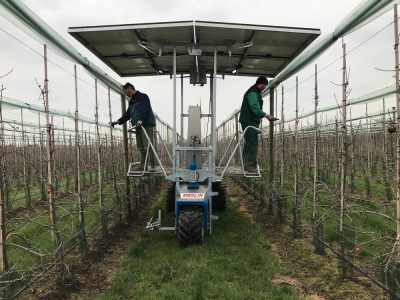 5--Merlin-fruitteelt