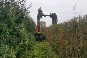 9 Heggenscheerder 1 9 Heggenscheerder 1