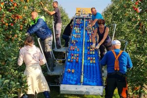 Pluto FRUITTEELT Boreco Pluto fruitteelt